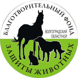 Волгоградский фонд защиты животных